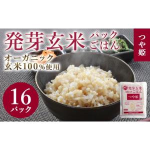 みずかがみ レトルト レンジ ごはん ふるさと納税 パックご飯 みず