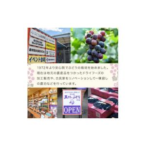 ふるさと納税 果物類 みかん 大分県 宇佐市 ...の詳細画像3