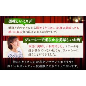 ふるさと納税 牛肉 ステーキ 長崎県 西海市 ...の詳細画像3