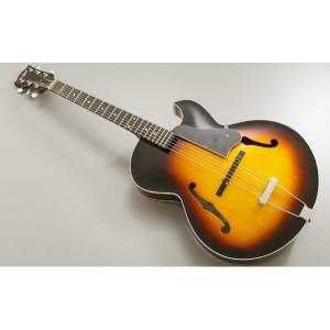 ふるさと納税 楽器 ギター・ベースギター 富山県 南砺市 ギター S.Tsuji　P-1 Model《南砺の逸品》