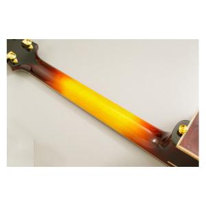 ふるさと納税 楽器 ギター・ベースギター 富山...の詳細画像5