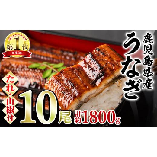 ふるさと納税 うなぎ 鹿児島県 東串良町  67038 東串良町のうなぎ蒲焼(無頭)(10尾・計約1...