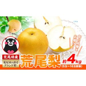 幸水梨・豊水梨・秋月梨・新高梨 秀品ギフト贈答用 10kg 送料無料