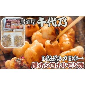 ふるさと納税 神奈川県 厚木市 No.480 厚木シロホルモン焼