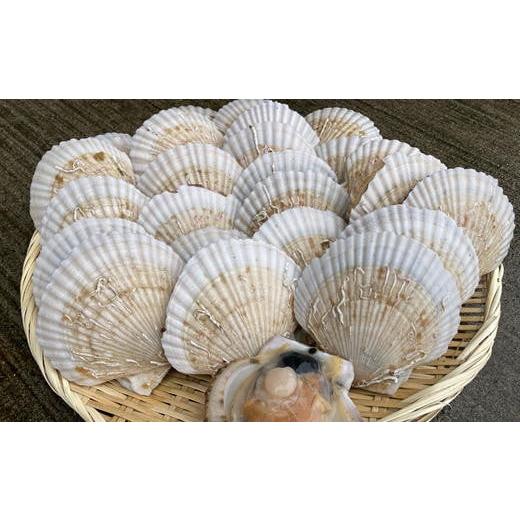 ふるさと納税 魚貝類 ホタテ 北海道 増毛町 7-012-015　殻付き半成貝（ベビー貝）2kg（約...