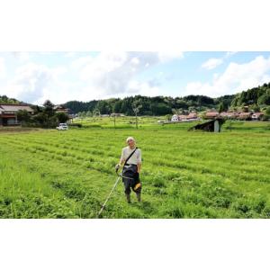 ふるさと納税 食用油 植物油 島根県 川本町 ...の詳細画像3