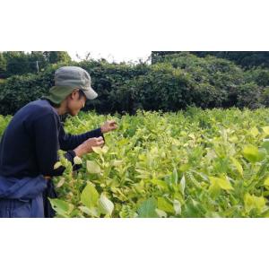ふるさと納税 食用油 植物油 島根県 川本町 ...の詳細画像4
