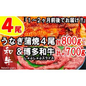 ふるさと納税 うなぎ 福岡県 新宮町 BD014.うなぎの蒲焼４尾＆博多和牛７００ｇ スタミナ満点 元気セット 博多和牛