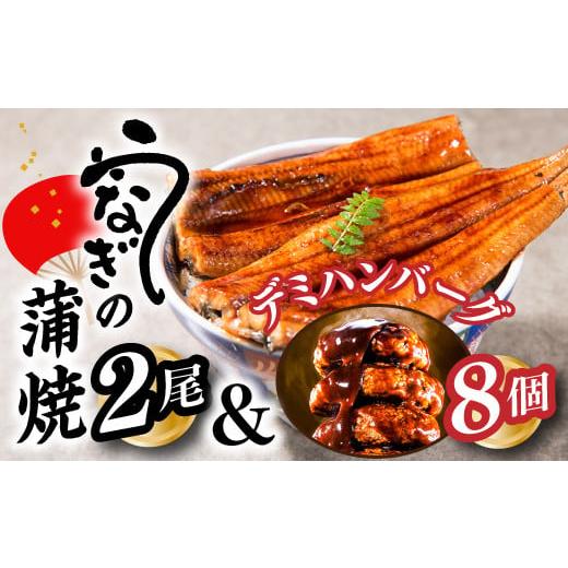 ふるさと納税 福岡県 新宮町 AB273.うなぎの蒲焼２尾＆大人気のデミハンバーグ８個【新宮町ゴール...