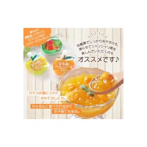 ふるさと納税 菓子 ゼリー 三重県 熊野市 果...の詳細画像3