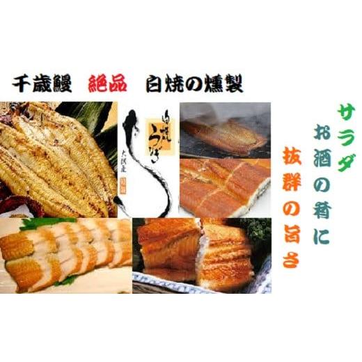 ふるさと納税 鹿児島県 大崎町 鹿児島県大隅産  千歳鰻の ★絶品★白焼の薫製ハーフカット２パック★...