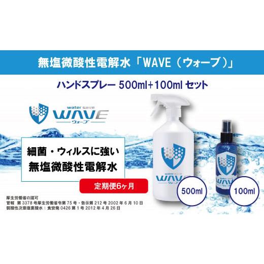 ふるさと納税 埼玉県 朝霞市 無塩微酸性電解水「WAVE」500ml+100mlセット（定期便6ヶ月...