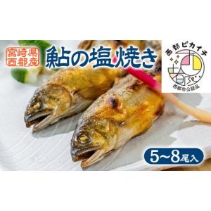 ふるさと納税 宮崎県 西都市 鮎の-5焼きギフト 5~7尾入り ＜1-8＞川魚 鮎 あゆ