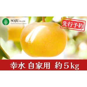ふるさと納税 梨 新潟県 三条市 先行予約 和...の詳細画像1