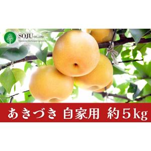 ふるさと納税 梨 新潟県 三条市 和梨 あきづき 自家用 約5kg 令和8年度 新潟フルーツ 新潟県産 梨 三条果樹専門家集団 010P063