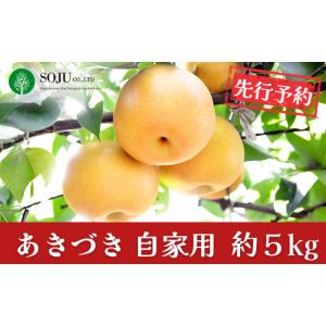 ふるさと納税 梨 新潟県 三条市 和梨 あきづ...の詳細画像1
