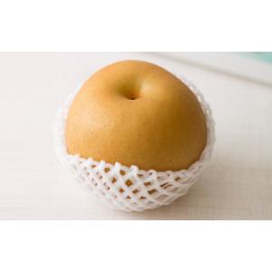 ふるさと納税 梨 新潟県 三条市 和梨 あきづ...の詳細画像2