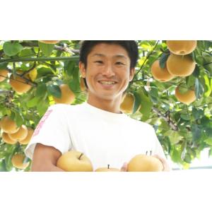 ふるさと納税 梨 新潟県 三条市 和梨 あきづ...の詳細画像5