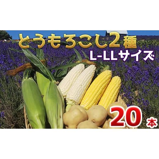 ふるさと納税 北海道 上富良野町 【2024年発送】かんのファーム産 とうもろこし 食べ比べ 20本...