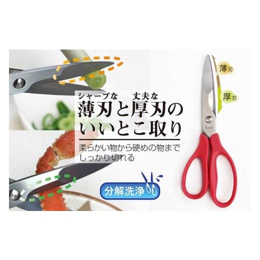 ふるさと納税 岐阜県 関市 【雑誌LDK R5.5月号に掲載されました】分解して洗える　キッチンばさ...