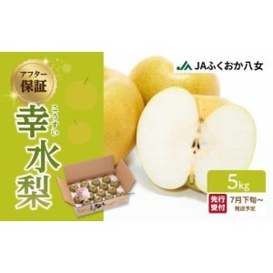 ふるさと納税 梨 福岡県 八女市 先行受付 アフター保証 幸水梨（5kg） ＪＡふくおか八女 ｜2026年7月下旬〜発送予定 梨 幸水 梨 梨 5kg みずみずしい甘みの梨…