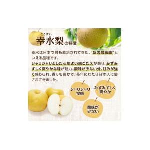 ふるさと納税 梨 福岡県 八女市 先行受付 ア...の詳細画像3