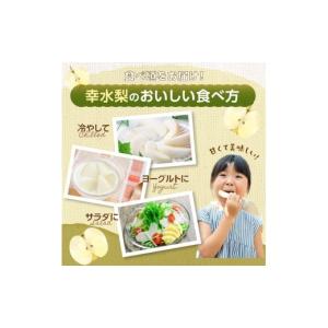 ふるさと納税 梨 福岡県 八女市 先行受付 ア...の詳細画像4