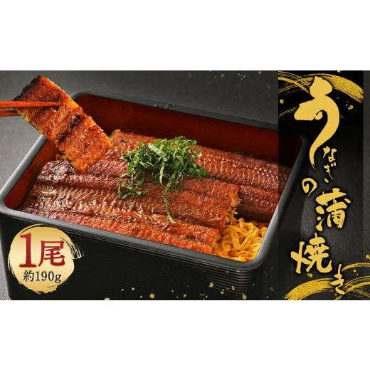 ふるさと納税 うなぎ 福岡県 柳川市 鰻の蒲焼き