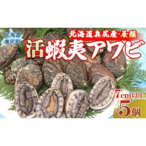 ふるさと納税 北海道 奥尻町 奥尻産活蝦夷アワビ（養殖...