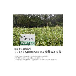 ふるさと納税 お茶類 佐賀県 佐賀市 国産 発...の詳細画像4