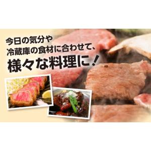 ふるさと納税 牛肉 ステーキ 岐阜県 白川村 ...の詳細画像5