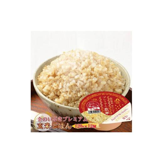 ふるさと納税 大阪府 松原市 金のいぶきプレミアム玄米ごはん120g×12個【災害 一人暮らし 備蓄...