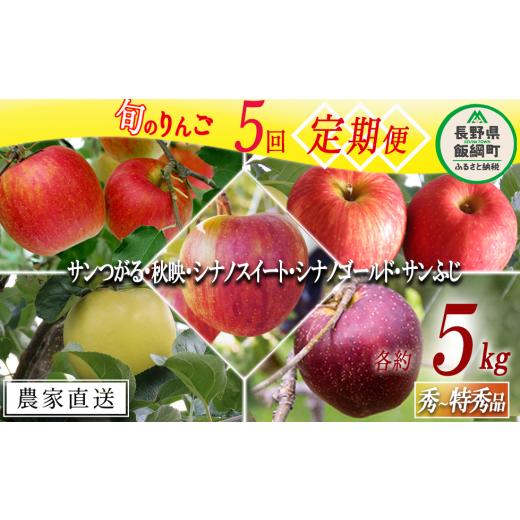 ふるさと納税 長野県 飯綱町 旬のりんご 【 定期便 】 秀 〜 特選 4.5kg 〜 5kg × ...