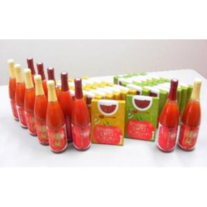 ふるさと納税 加工品等 レトルト 鳥取県 日南町 No.5667-0199 星降る里日南町　完熟トマトのカレー＆ハヤシ＆ジュースセット