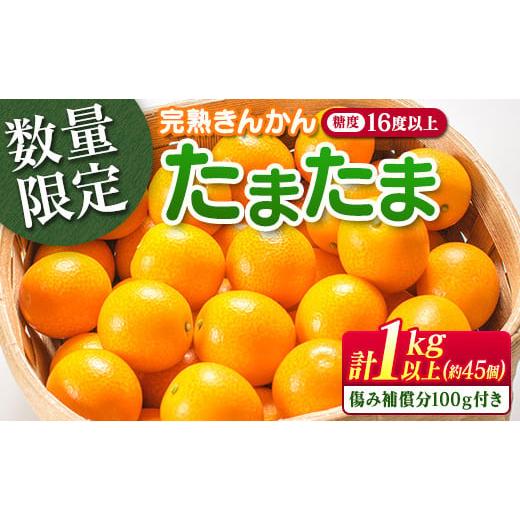 ふるさと納税 みかん・柑橘類 宮崎県 日南市 糖度16度以上 数量限定 完熟 きんかん たまたま 計...