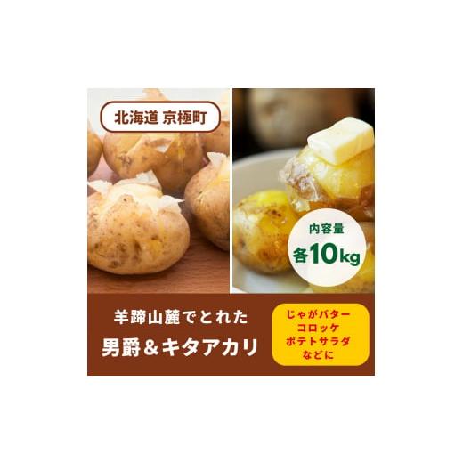 ふるさと納税 北海道 京極町 2024年秋発送！ 北海道羊蹄山麓 じゃがいも20kg 食べ比べ（男爵...