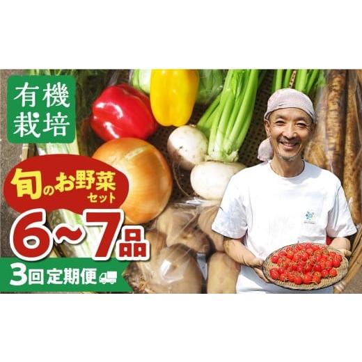 ふるさと納税 セット・詰合せ 岐阜県 飛騨市 《令和8年産 先行予約受付中》野菜の栄養価コンテストグ...