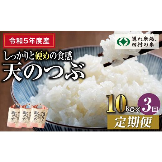 ふるさと納税 福島県 田村市 【 令和5年産 】定期便3回 田村産 天のつぶ 10kg 毎月 お届け...