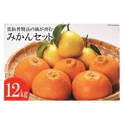 ふるさと納税 みかん・柑橘類 長崎県 島原市 CA040 雲仙普賢岳の風が育む みかんセット 12k...