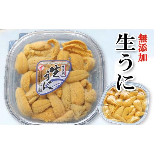 ふるさと納税 北海道 根室市 A-53008  ムラサキウニ塩水パック80〜90g×2P[7月上旬以...