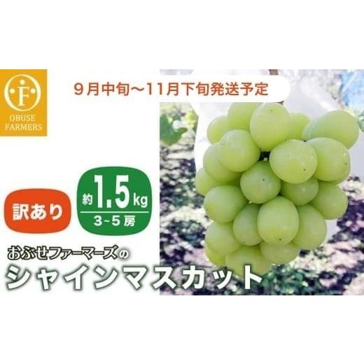 ふるさと納税 ぶどう マスカット 長野県 小布施町  訳あり シャインマスカット 約1.5kg 3〜...