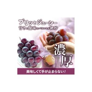 ふるさと納税 ぶどう 岡山県 高梁市 訳あり ...の詳細画像3