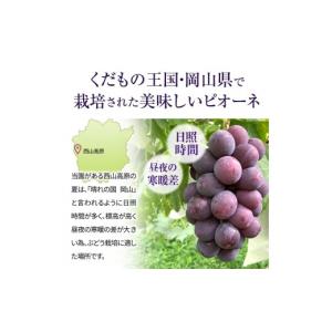 ふるさと納税 ぶどう 岡山県 高梁市 訳あり ...の詳細画像5