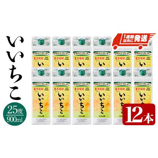 ふるさと納税 大分県 宇佐市 いいちこ 25度 パック(計10.8L・900ml×12本)酒 お酒 ...