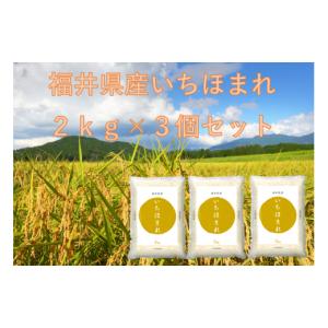 ふるさと納税 福井県 福井市 【令和5年産】福井が生んだブランド米「福井県産いちほまれ」2kg×3袋 【計6kg 米 お米 コメ 小分け 福井県】 [A-014001]