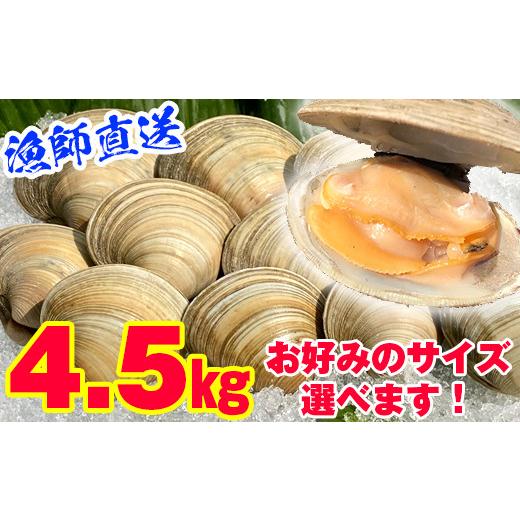 ふるさと納税 千葉県 富津市 漁師直送！活ホンビノス貝4.5kg（Sサイズ） Ｓサイズ【１ヶ月以内発...