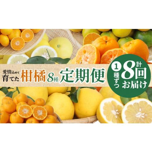 ふるさと納税 熊本県 天草市 S040-019_【定期便8回】天草 下浦地区の農家が愛情込めて育てた...