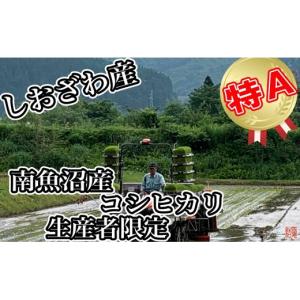 ふるさと納税 米 コシヒカリ 新潟県 南魚沼市...の詳細画像4