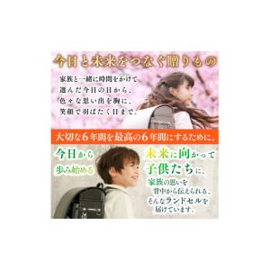 ふるさと納税 カバン 京都府 宇治市 京都ラン...の詳細画像3