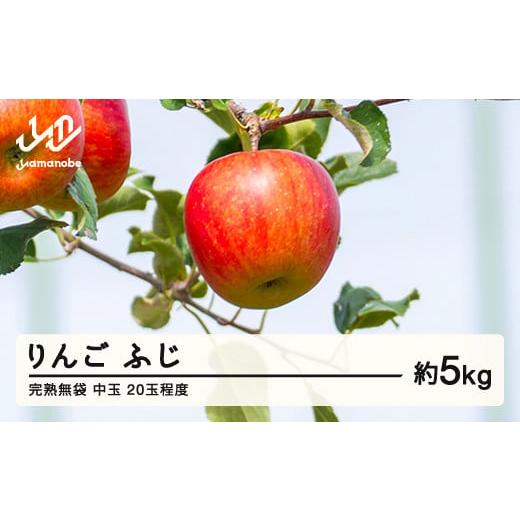 ふるさと納税 りんご 山形県 山辺町 2026年産 渡辺果樹園 完熟無袋 りんご ふじ 約5kg（2...